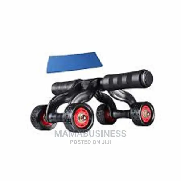 Ab Roller and Push Up Bar Multi-Funtional Lightweight Traine