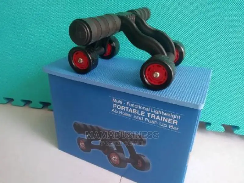 Ab Roller and Push Up Bar Multi-Funtional Lightweight Traine