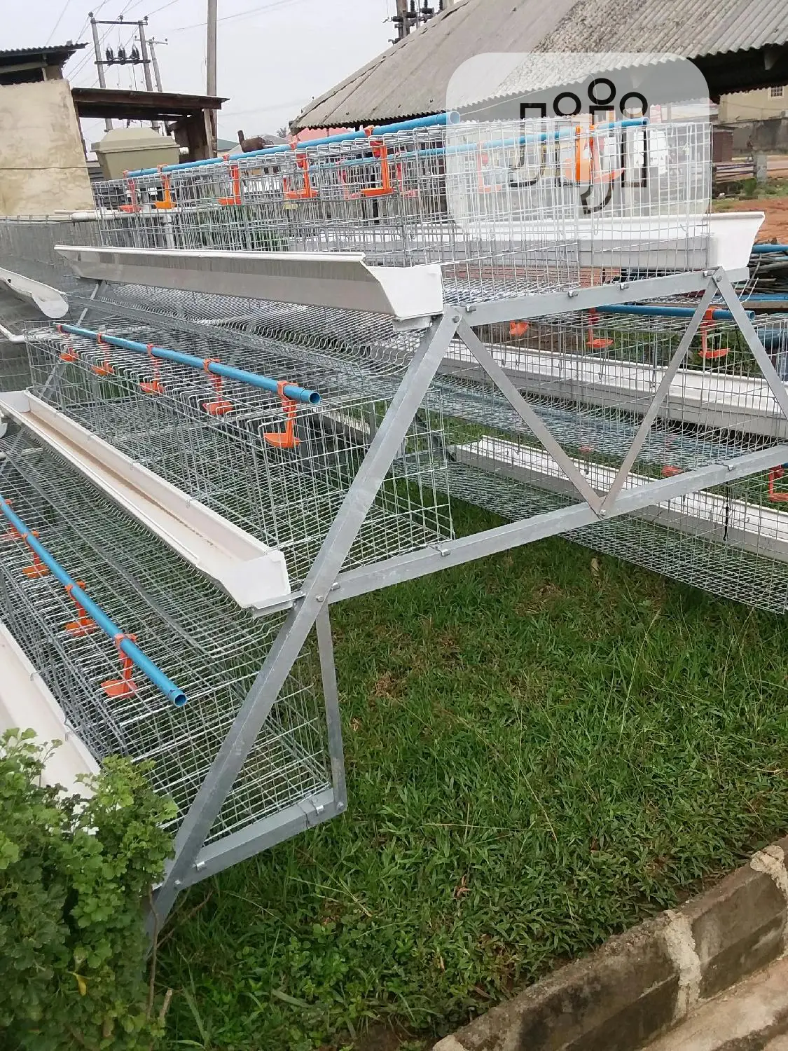 Hot Dip Galvanize Battery Cages With Full Accessories