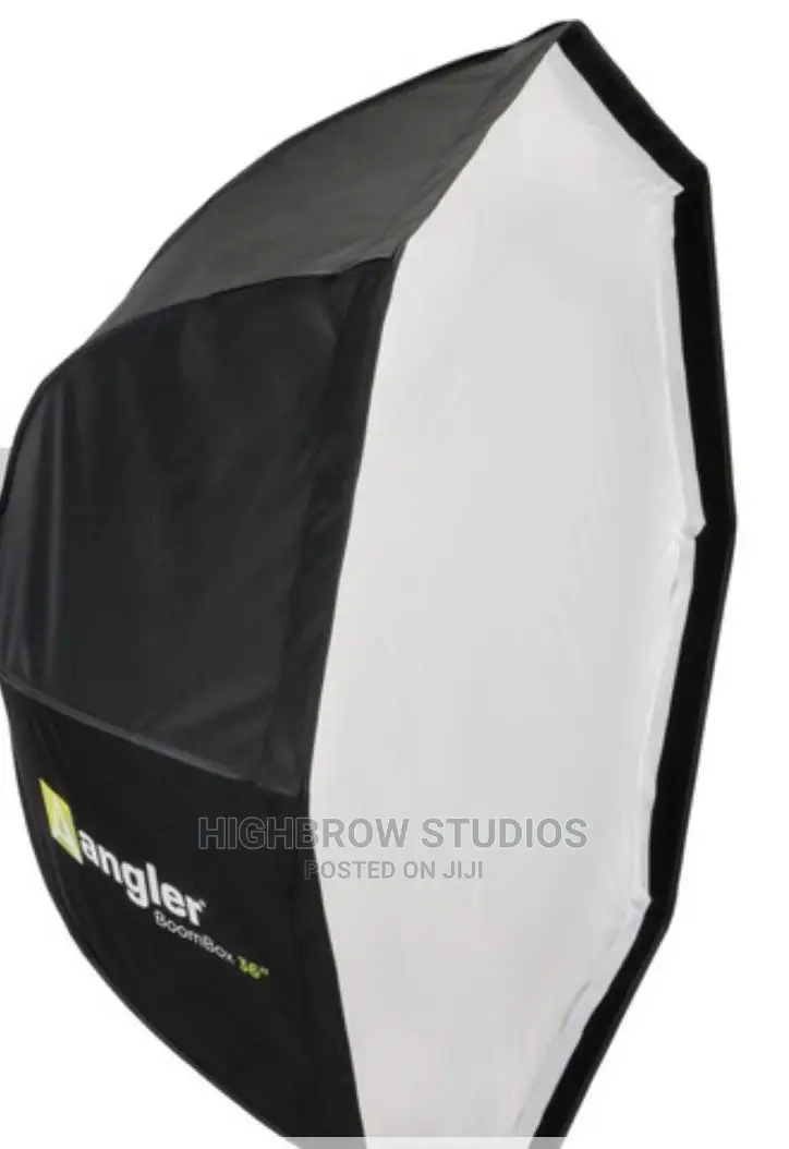 Aputure 300D Ii Led Light For Rent