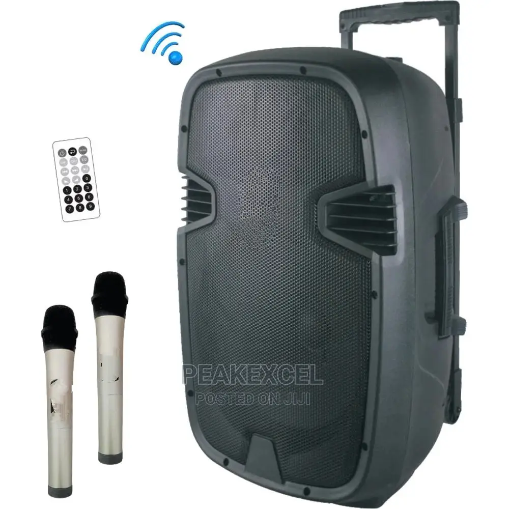 8 Inches PA Speaker With Bluetooth 2 Wireless Microphones