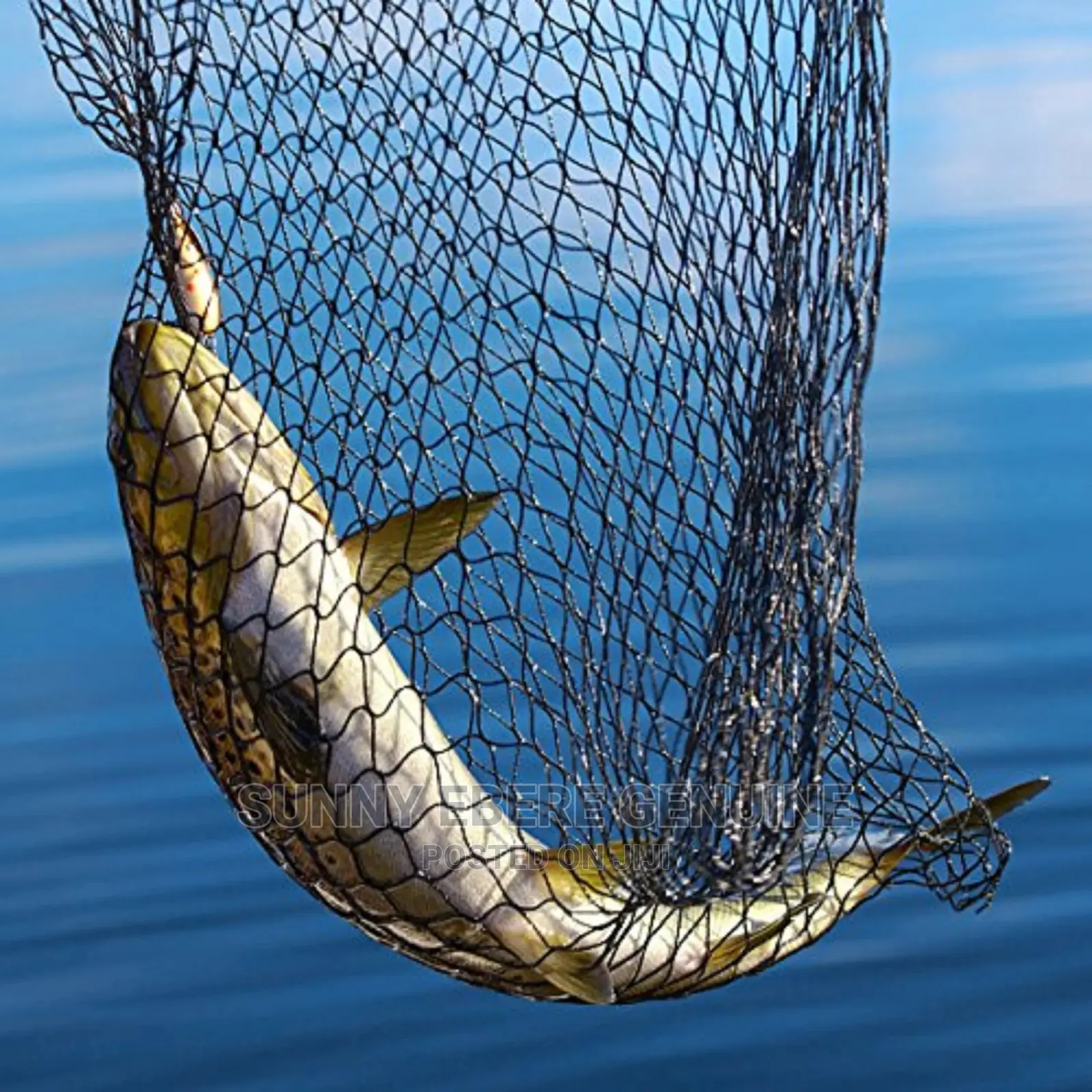 Amazing Big Cast Net Fishing,Amazing Big Cast Fishing Net