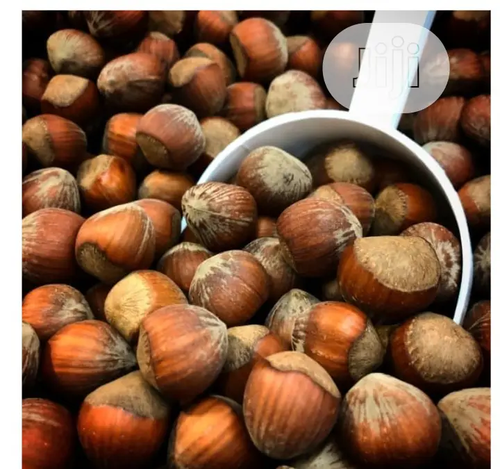 Hazel Nuts Packed With Vitamin E,Protein,Dietary Fibre 250g