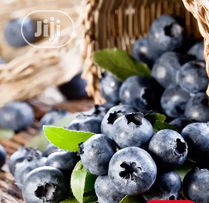 Organic Dried Blueberries Poweful Anti Oxidant Vitamins 250g