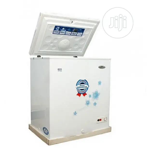 Thermocool Inverter Freezer 219 R6 White