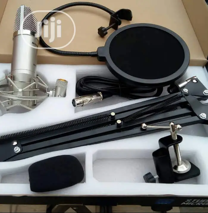 Professional Studio Microphone With Stand And Pop Filter