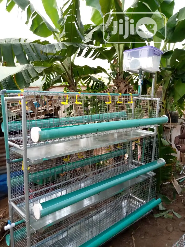 Broiler Cages With Full Accessories