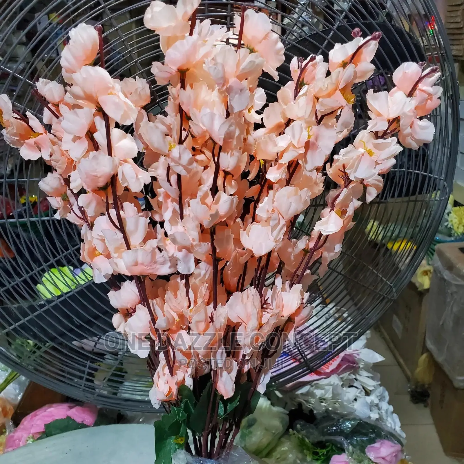 Cherry Blossoms