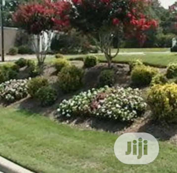 Land Scaping And Flower Pot