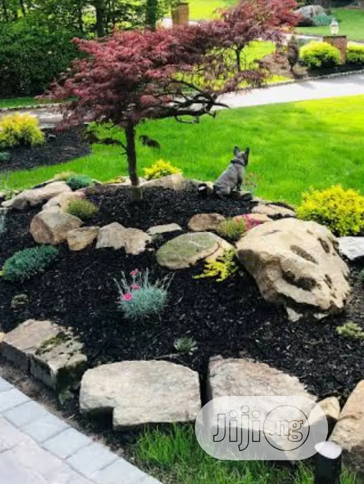 Land Scaping And Flower Pot