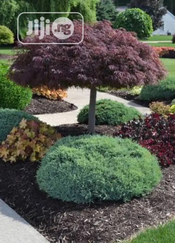 Land Scaping And Flower Pot