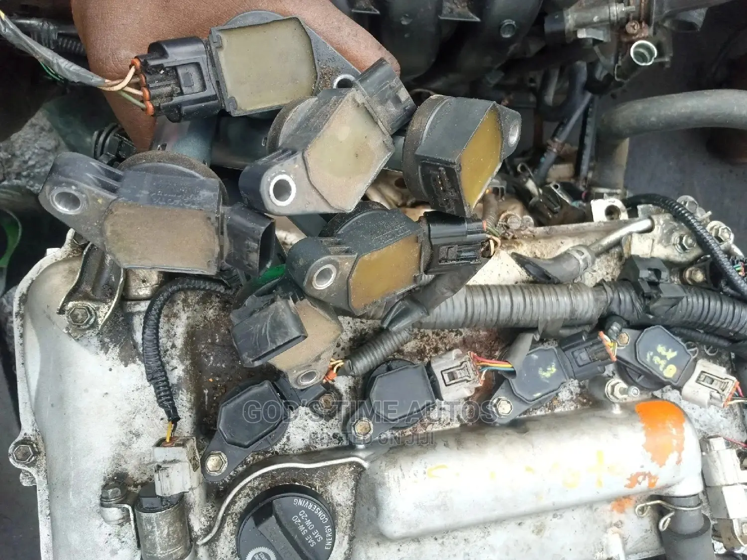 Toyota/Lexus Engine Coils