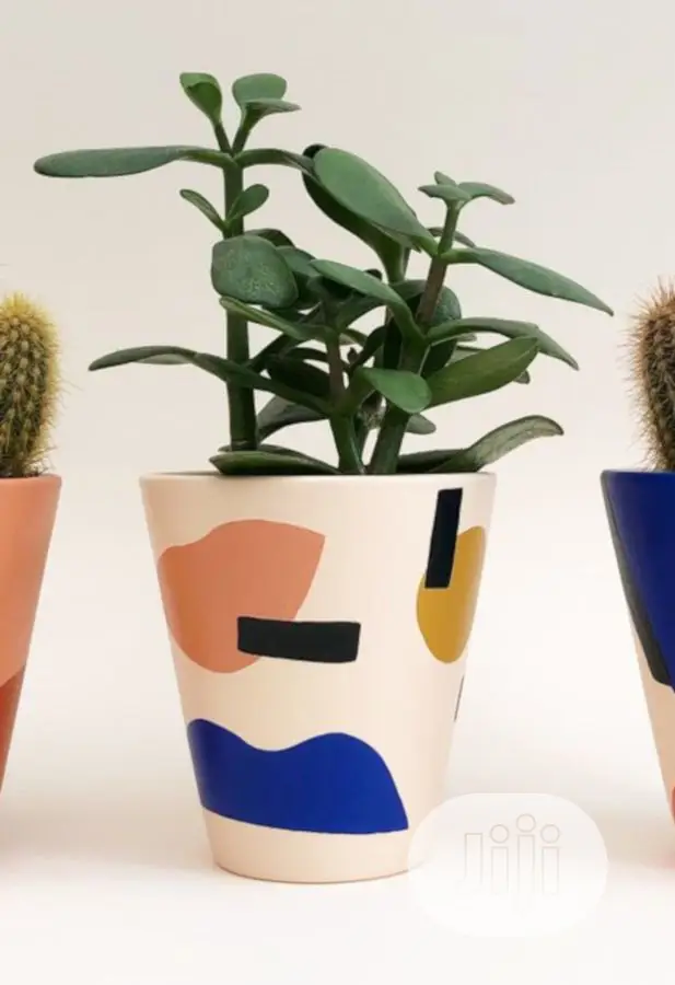 Flower Pot/ Gardener Hurticurturis