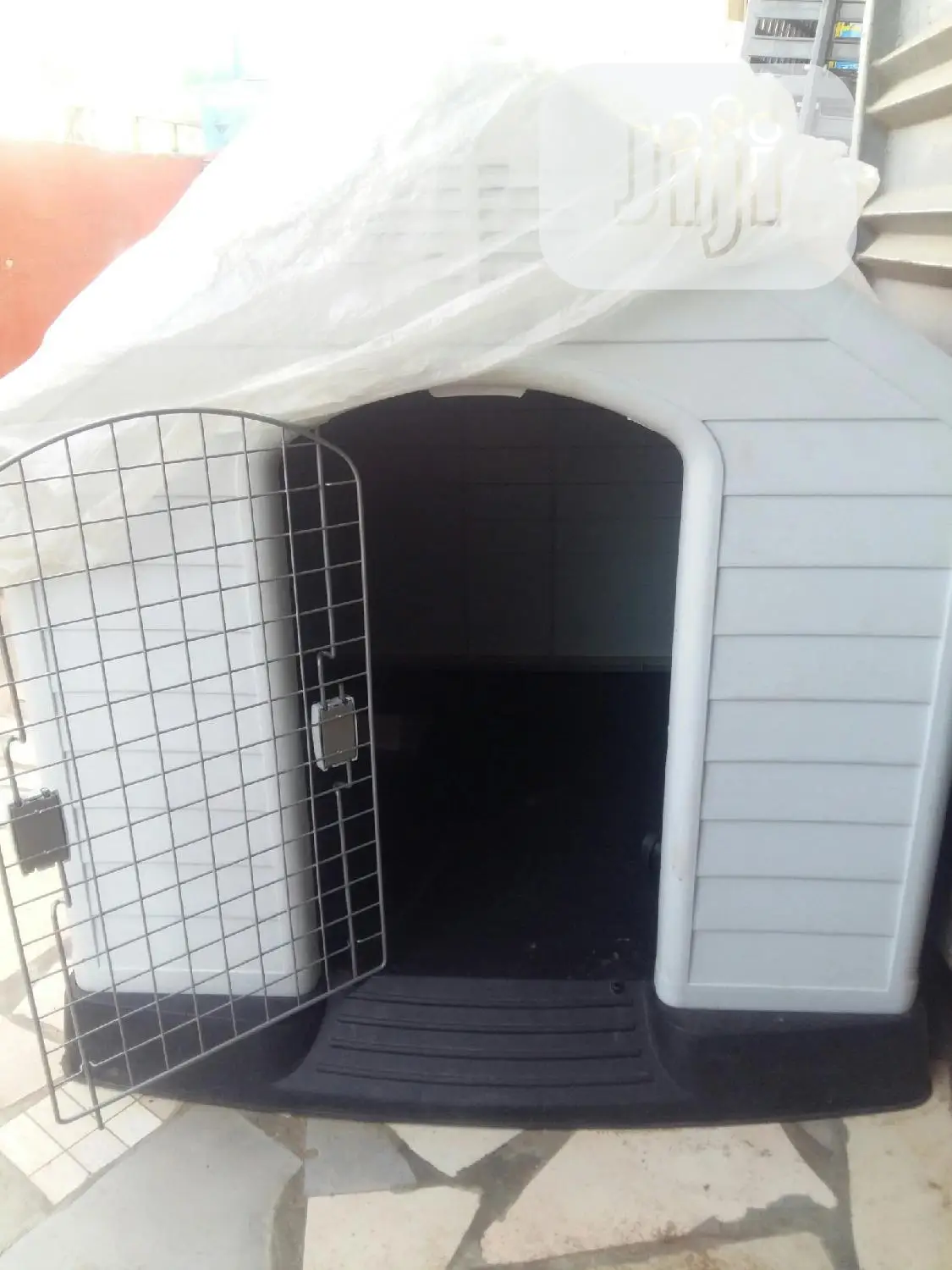 Pet Dog in Door House