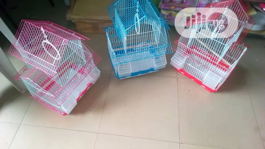 Foreign Cage for You Canary and Love Birds