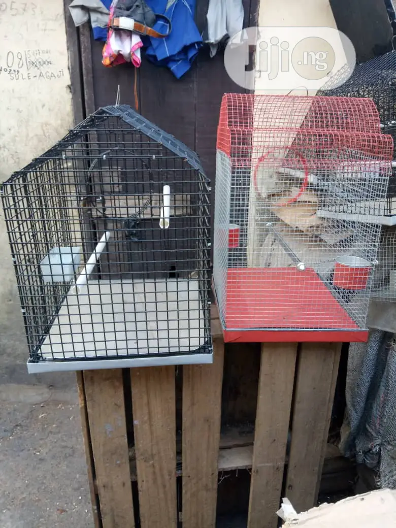 Well Built Local Cage for Your Parrot