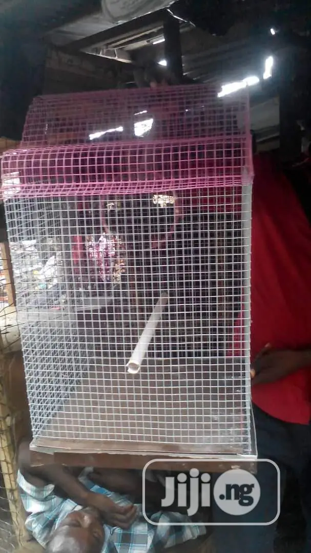 Well Built Local Cage for Your Parrot