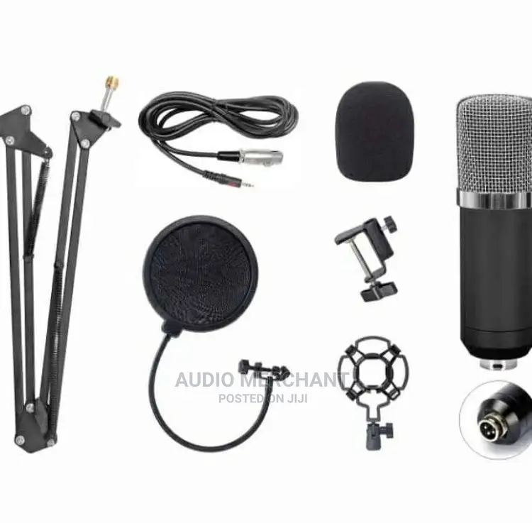 Studio Condenser Microphone With Stand