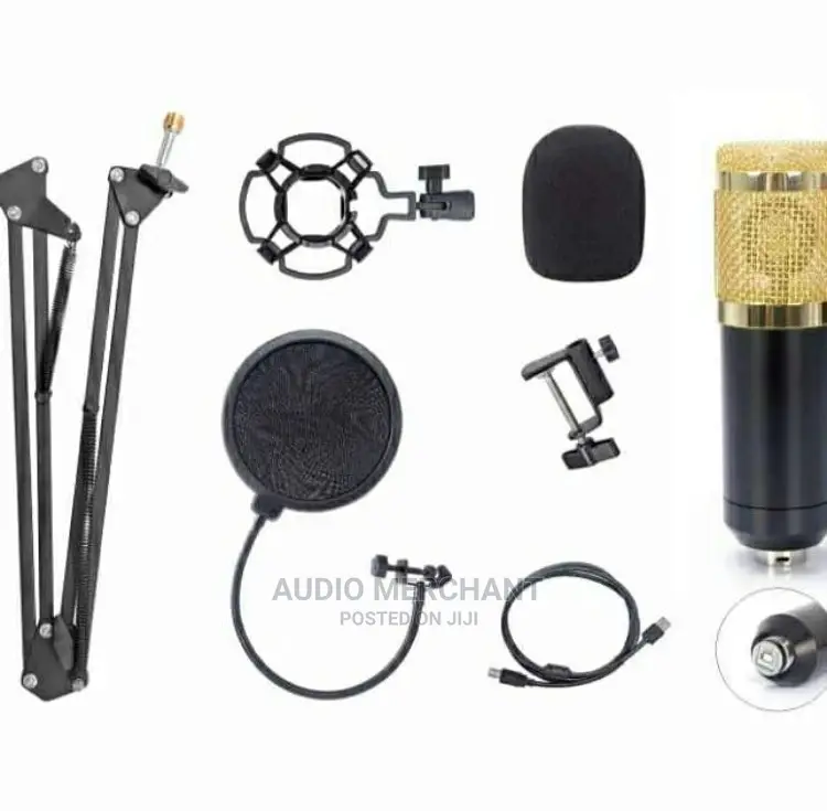 Studio Condenser Microphone With Stand