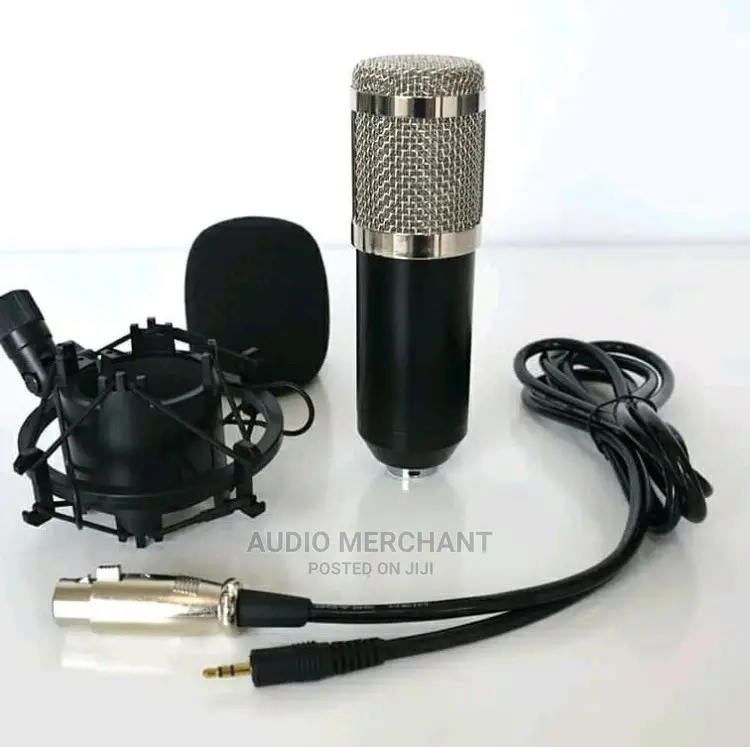Studio Condenser Microphone With Stand