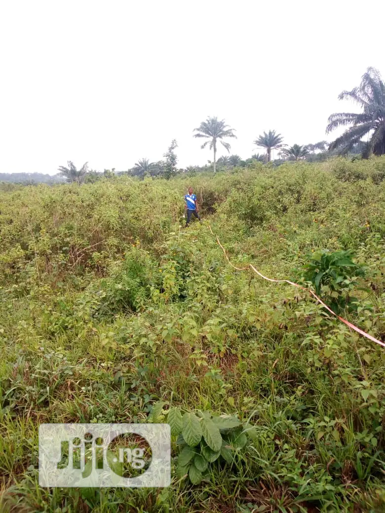 Farm Land at Igan Alade