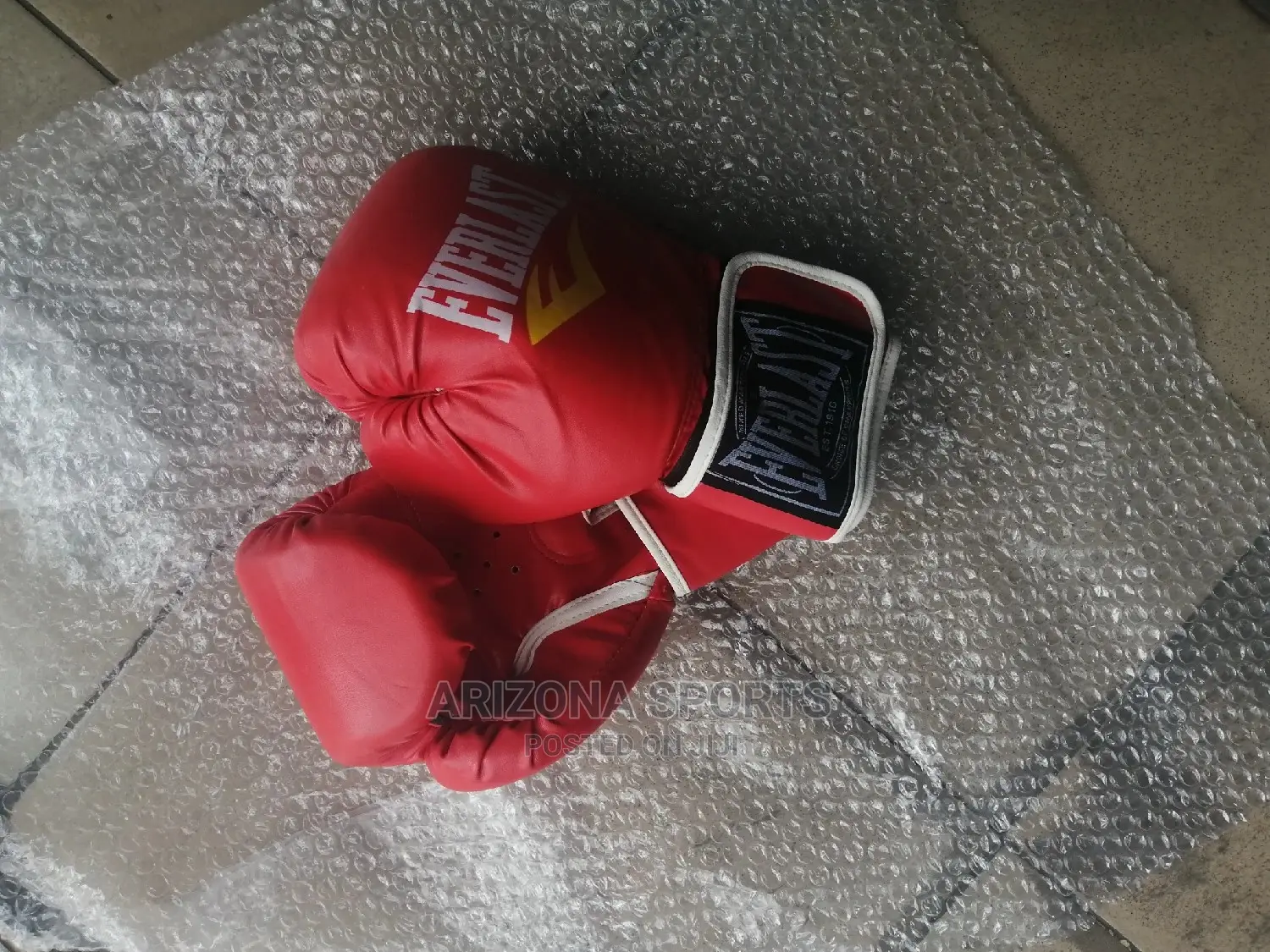 Everlast Boxing Glove