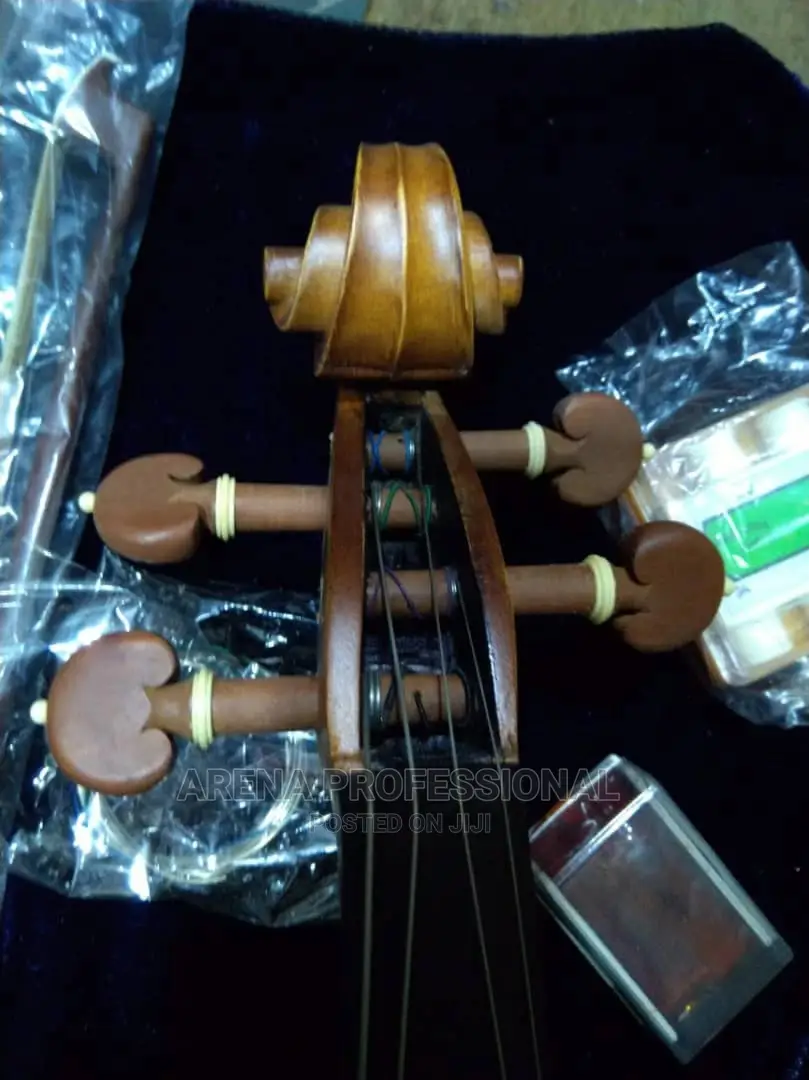 Dlack Professional Concert Violin