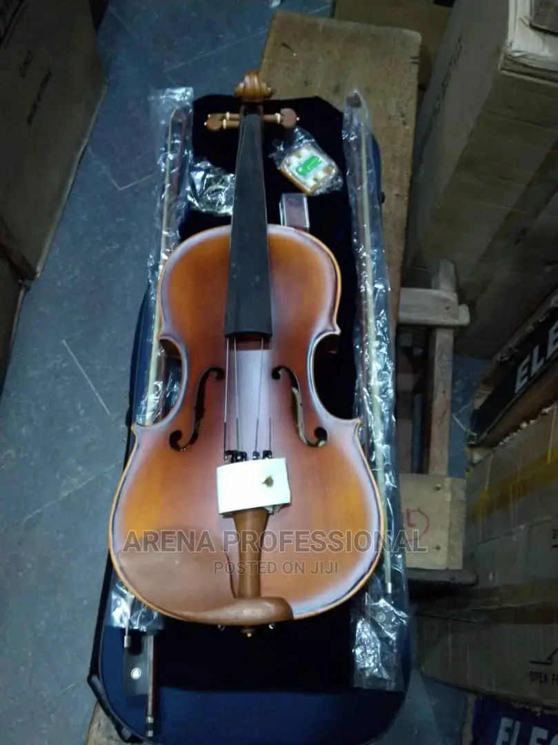 Dlack Professional Concert Violin