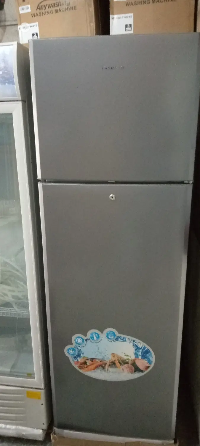 305 Litters of Fridge. Hisense