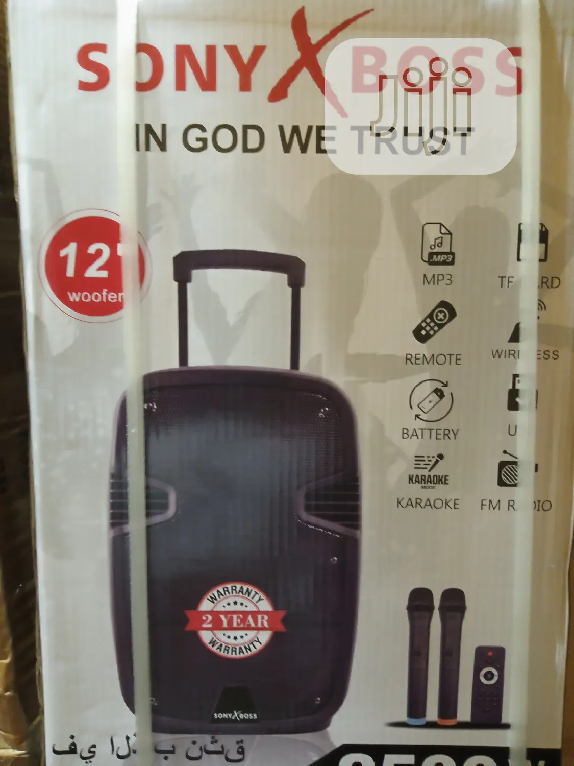 Quality Standard 12inches Pa System With 2wireless Mic, Bluetooth