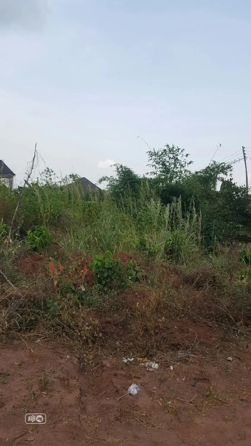 50×100 Table Land in a Good Location at Opp Okpanam City Gate, Asaba