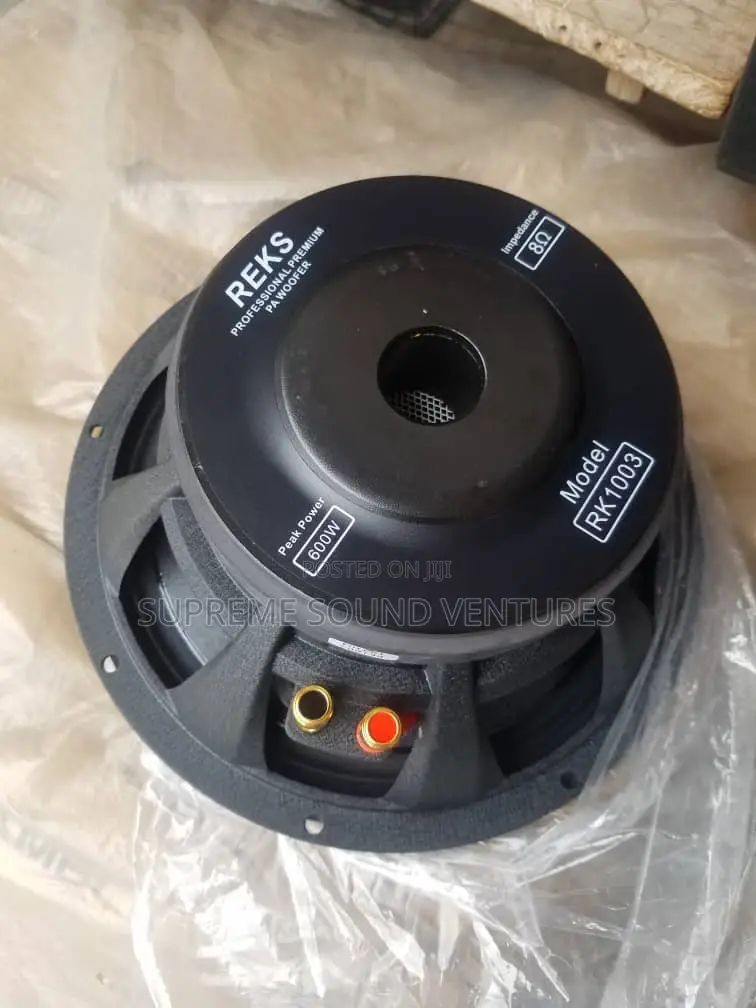 10 Inches Naked Speaker
