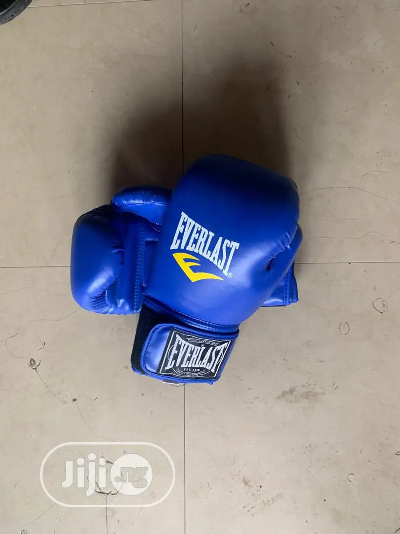 Blue Boxing Everlast Glove