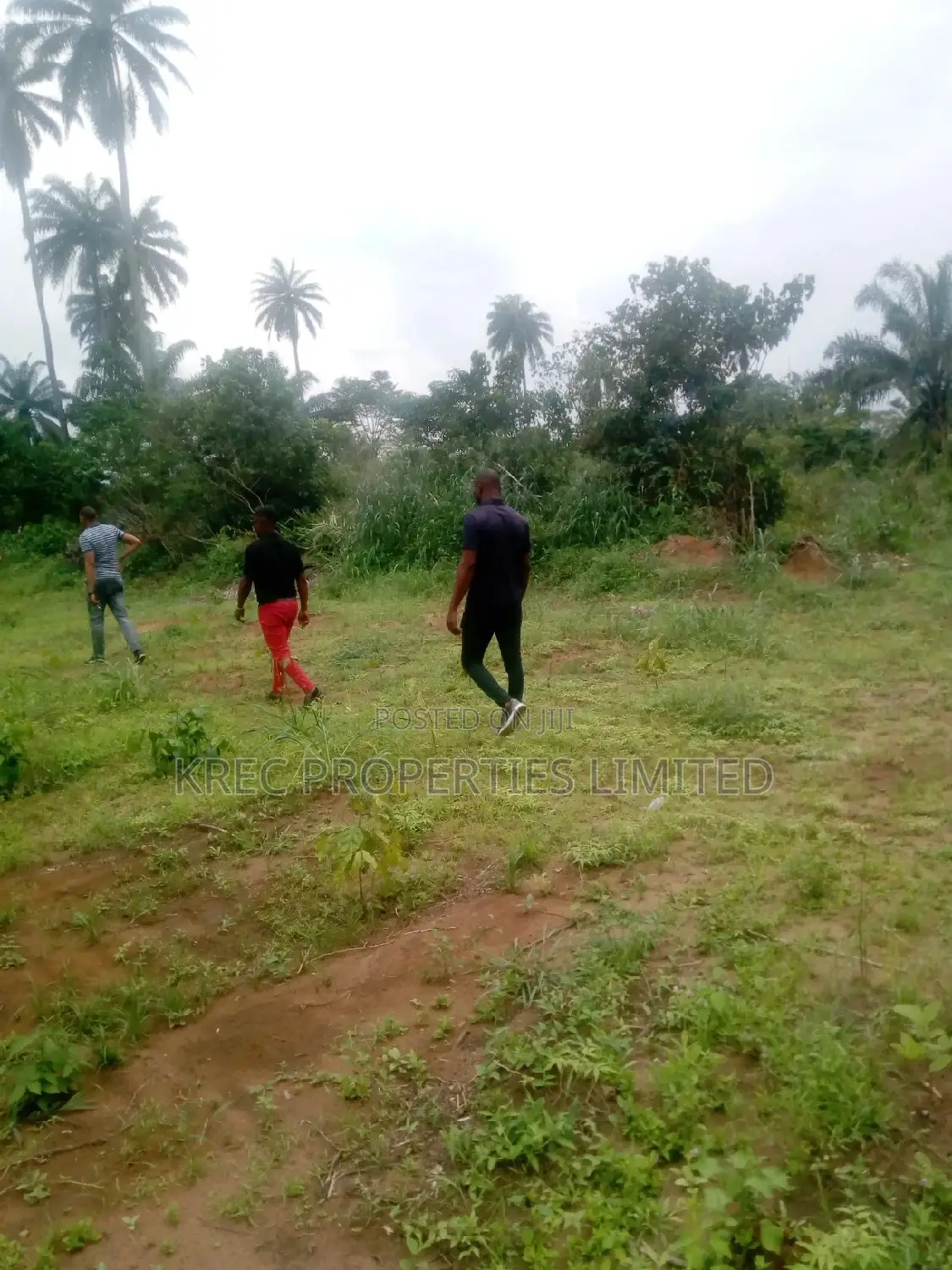 Genuine Plots Reserved Secure in an Estate at Airport