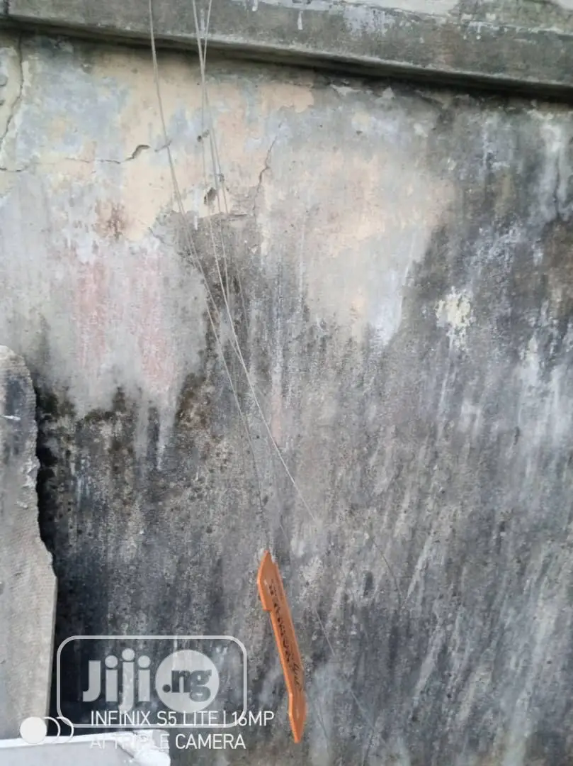 Professional; Maintenance Installation Of Electric Fence