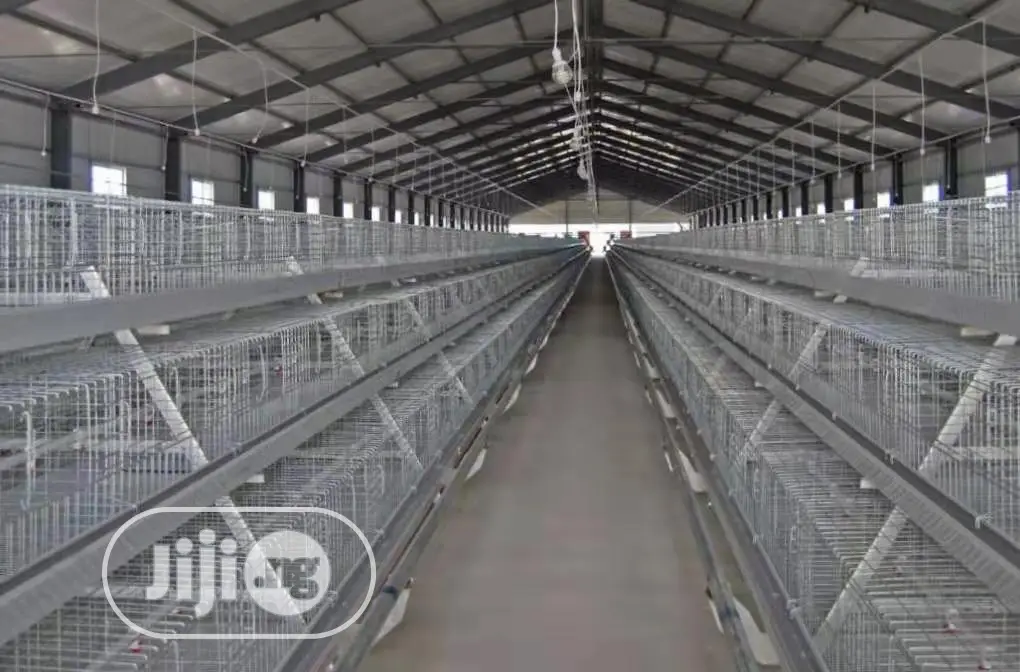 A Type 3 Tiers 120 Birds Per Set Poultry Cages