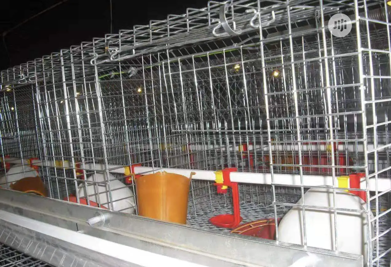 A Type 3 Tiers 120 Birds Per Set Poultry Cages