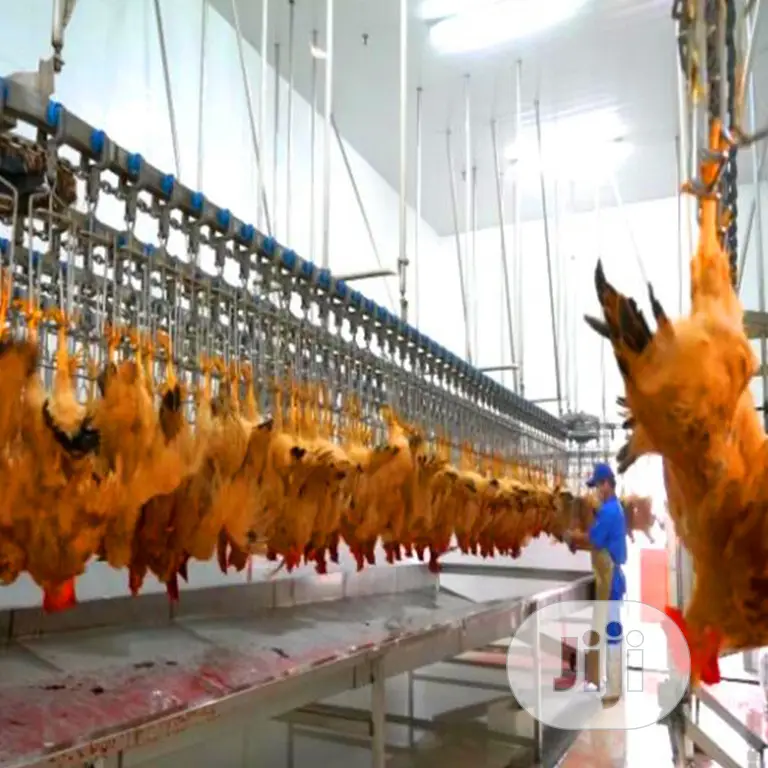 1000bph Automatic Chicken Slaughtering Equipment Lines