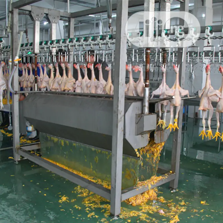 1000bph Automatic Chicken Slaughtering Equipment Lines