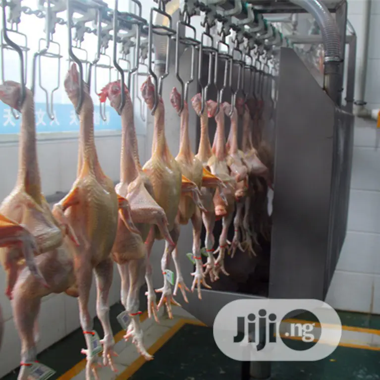 1000bph Automatic Chicken Slaughtering Equipment Lines