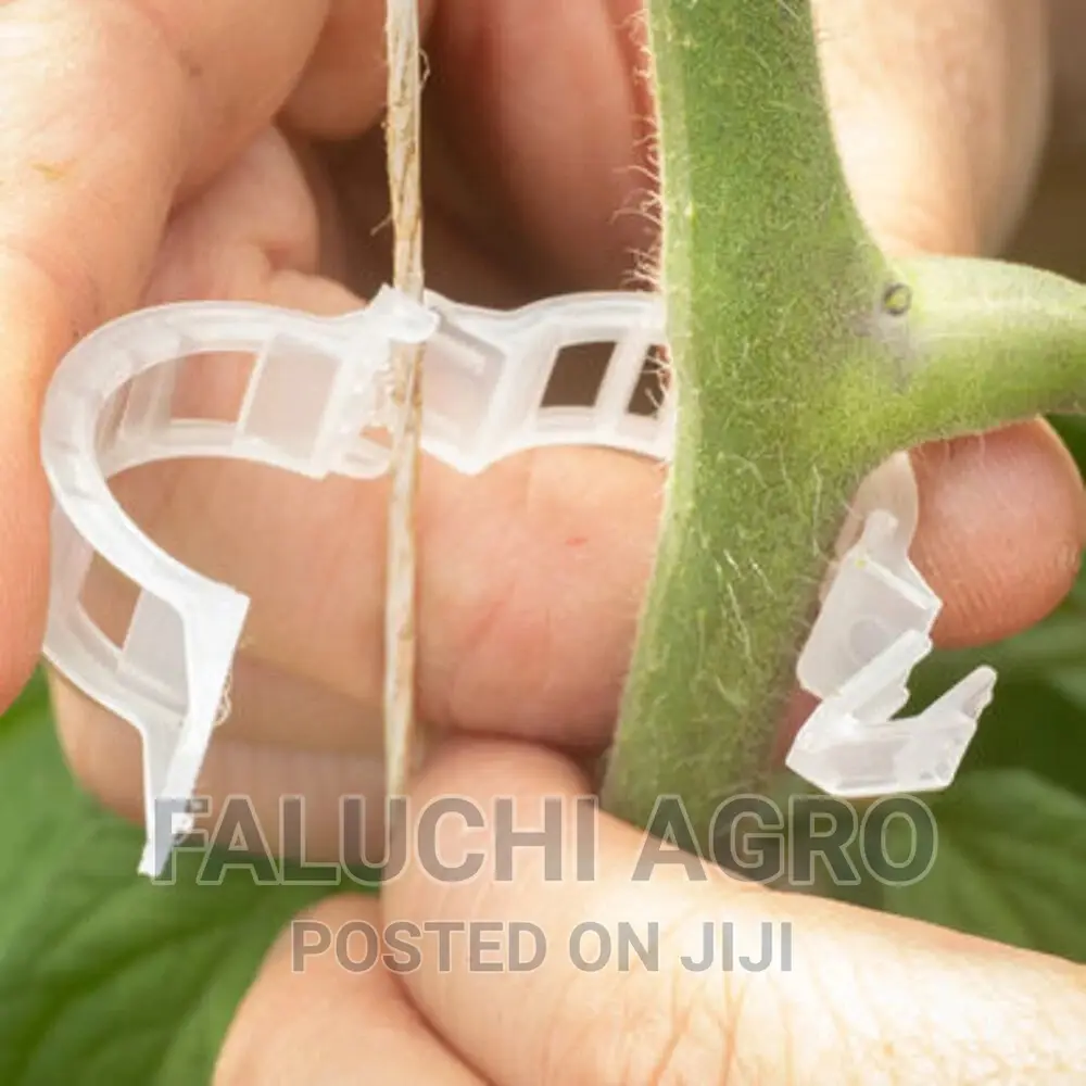 Trellis Clips for Your Tomatos (100 Pcs)
