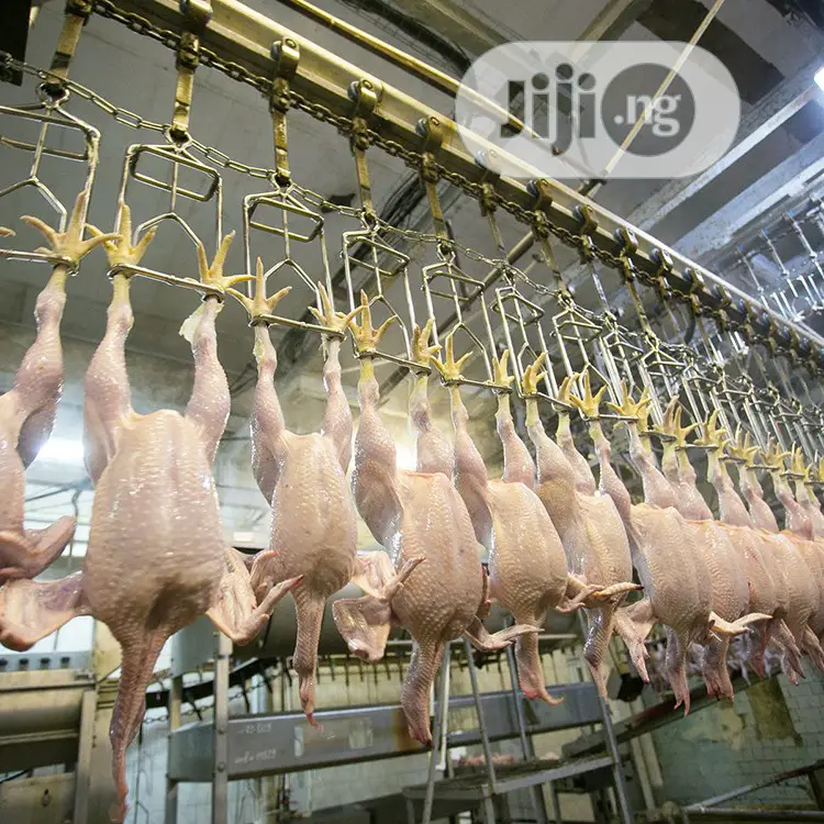 1000BPH Automatic Chicken Slaughter Machine Lines