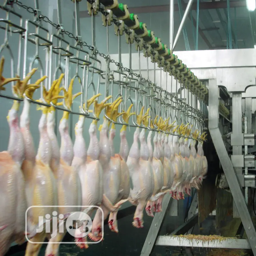 1000BPH Automatic Chicken Slaughter Machine Lines