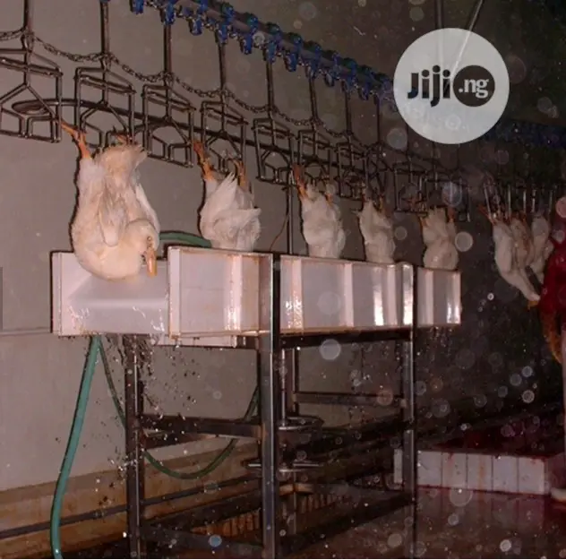 Chicken Slaughter House Automatic Slaughtering Machine