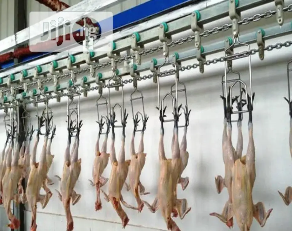 Chicken Slaughter House Automatic Slaughtering Machine
