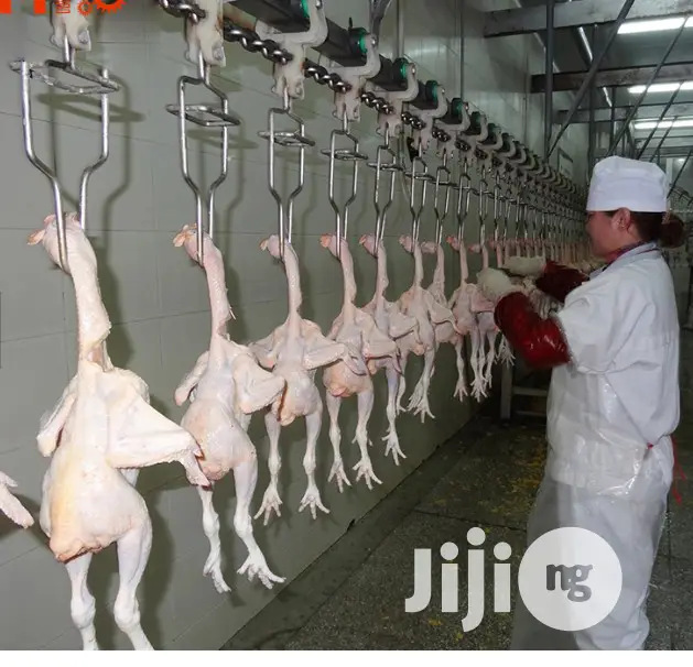 Poultry Slaughter Machine Of Chicken Slaughtering Production