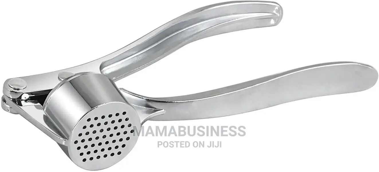 Stainless Steel Garlic Press