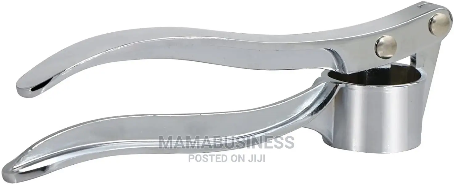 Stainless Steel Garlic Press