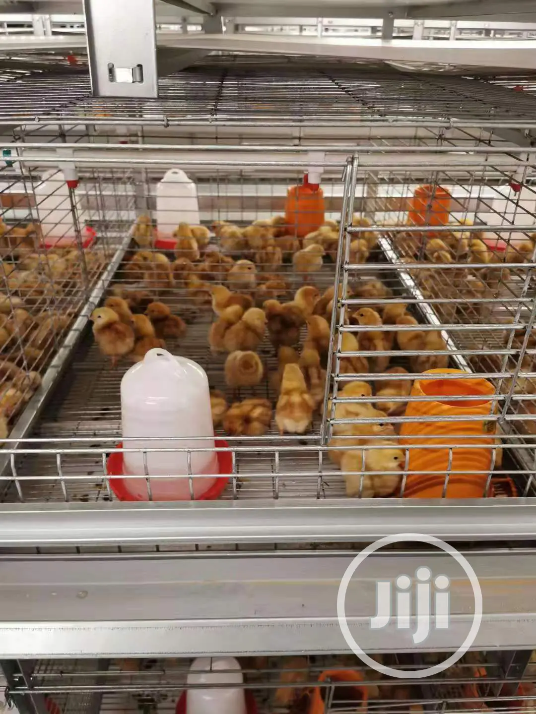 Automatic a Type Poultry Cage Battery Cages Chicken Cages