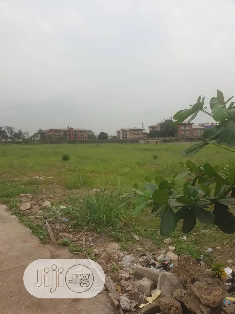 Half Plot for Sale at Peace Estate Aboru